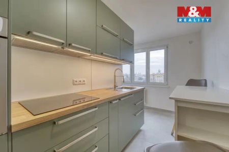 Pronájem bytu 1+1, 39 m - Fotografie 3