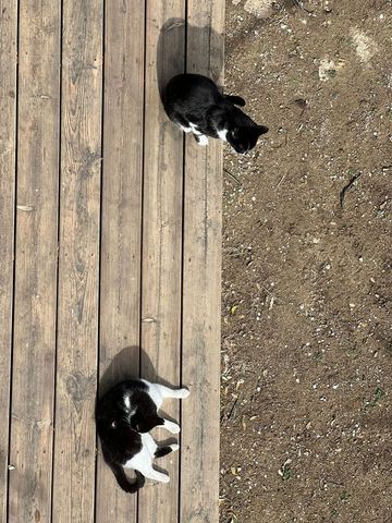 Alquiler de finca rústica en Carretera de Cerro Gordo, 1 - Photo 2