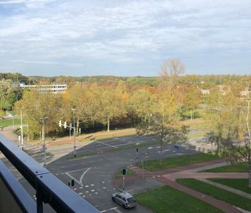 Room Arnhem - Gildemeestersplein - Photo 5