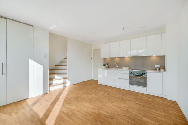 A gem in the middle of Zurich! - Photo 1