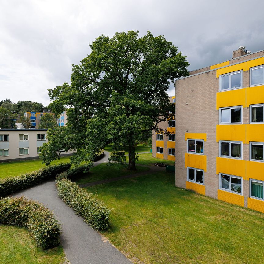 Campuslaan, 51 - Photo 1