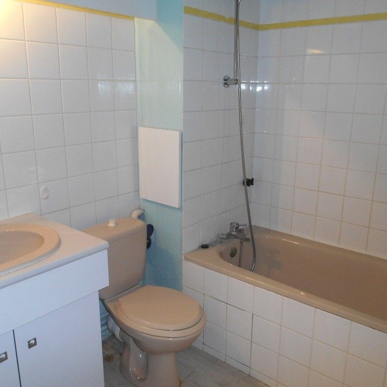 Location Appartement 1 pièce 28m² VILLERS LES NANCY 54600 - Photo 1
