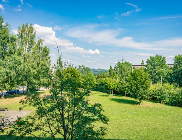 1-Raum-Wohnung mit Blick ins Grüne - Photo 1