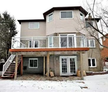 For Lease - 156 Bristol Road Unit# Basement, Newmarket, Ontario - Photo 2