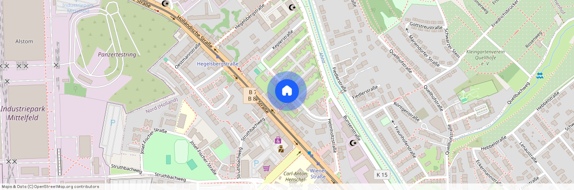 Friedrich-Wöhler-Straße 11, 34127 Kassel OT Schillerviertel