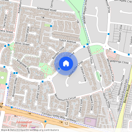 193 Braidwood Drive, NSW 2170, Prestons