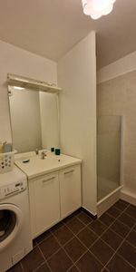 Location Appartement 1 pièce 39m² VILLEURBANNE 69100 - Photo 4
