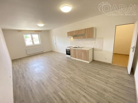 Pronájem bytu 1+kk 46 m2 - Fotografie 1