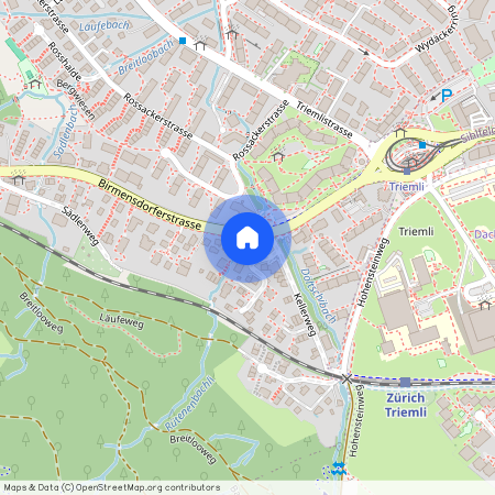 8055, Zürich, Birmensdorferstrasse, 543