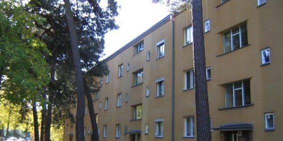 Gut geschnittene 2-Zimmer Wohnung - Photo 3