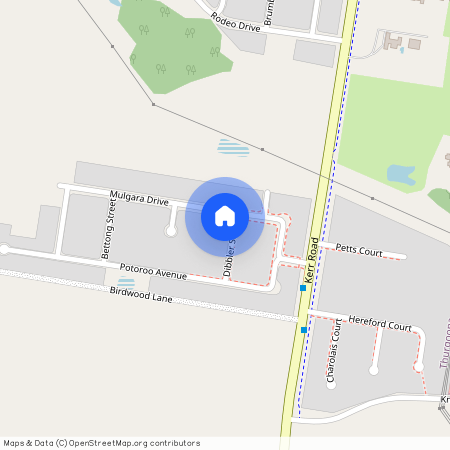 4, Dibbler, Street, Thurgoona, 2640, New South Wales