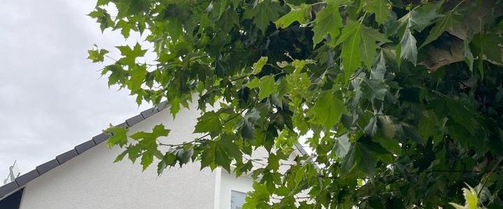 Zwei-Zimmerwohnung im Erdgeschoss - barrierefrei - Foto 1