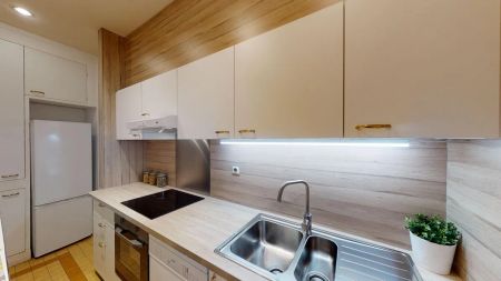 13 rue Peyras 13, Toulouse - Photo 3