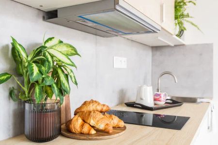 Slunné 2+kk po kompletní rekonstrukci s lodžií, 40,7 m - Photo 3