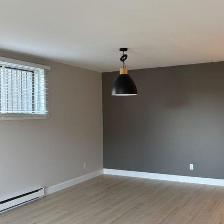 LÉVIS GRAND 4 1/2, STYLE CONDO, SECTEUR DESJARDINS * Disponible dès maintenant - Photo 3