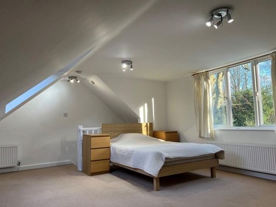 1 bedroom ground floor flat to rent - Photo 1