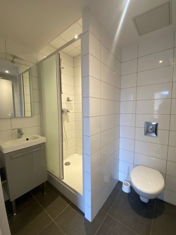 Location Appartement 1 pièce 35m² BRIGNAIS 69530 - Photo 5