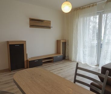 Elegancka kawalerka- studio, umeblowane 2000+250 – zdjęcie 2