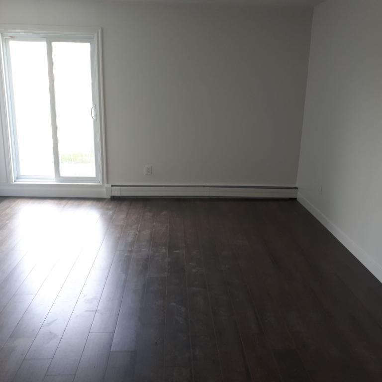 SUPERBE 3 ½ ENTIÈREMENT RÉNOVÉ - LIMOILOU - 995$ CHAUFFÉ,EAU CHAUDE - DISPONIBLE MAINTENANT OU POUR SEPTEMBRE - Photo 1