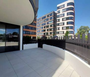 Oversized Two Bedroom | North Facing | Ample Courtyard - Photo 3