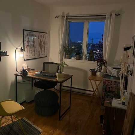 Ste-Catherine 4 1/2 près des services - Photo 4