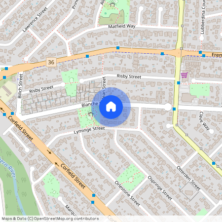 37 Blanche Street, WA 6110, Gosnells