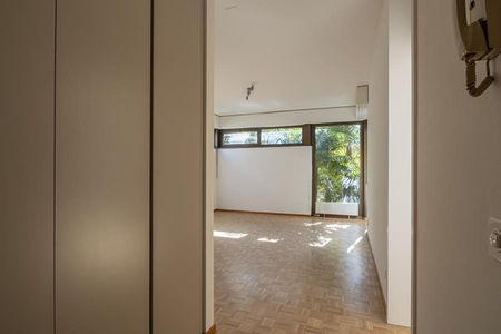 RINNOVATO 2.5 LOCALI A LUGANO - Photo 3