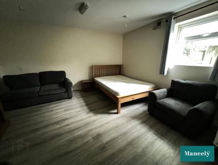 7b Hillview Terrace, Omagh, BT79 7DA - Photo 4