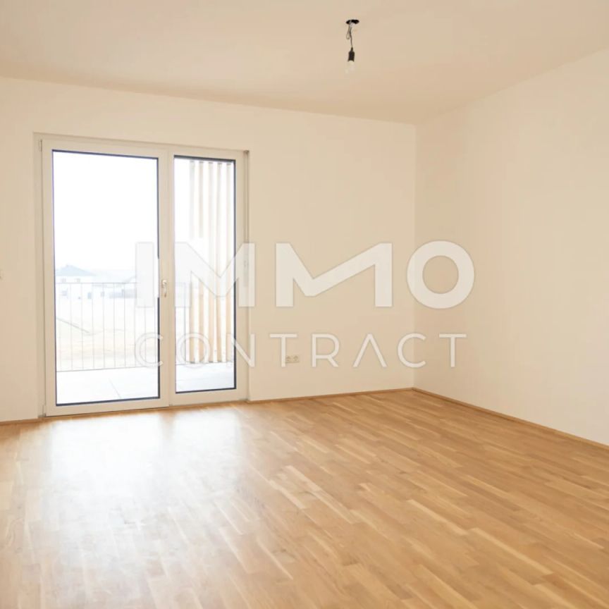 54,11qm 2Zi-O-Balkonwohnung,Erstbezug, ökologische Bauweise - Foto 1