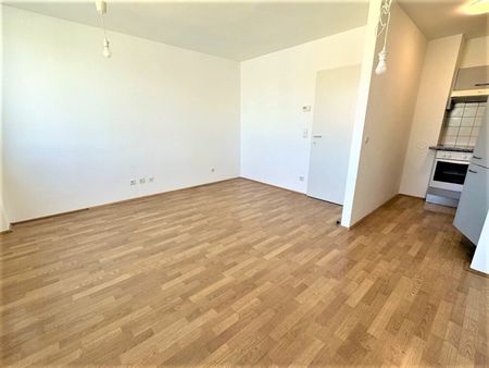 FAVORITENSTRASSE, U1-Nähe, 46 m2 Neubau, 1 Zimmer, Wohnküche, Wannenbad, Parketten, 4. Liftstock, Belvedere-Nähe - Foto 2