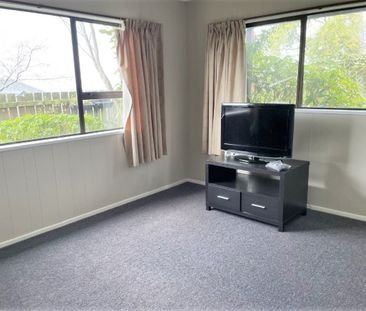 Unit 3, 17 Argyle Street, Mornington, Dunedin - Photo 3