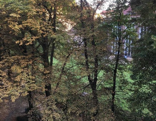 Biete 2-Zimmerwohnung zum Tausch gegen größere Wohnung - Foto 1