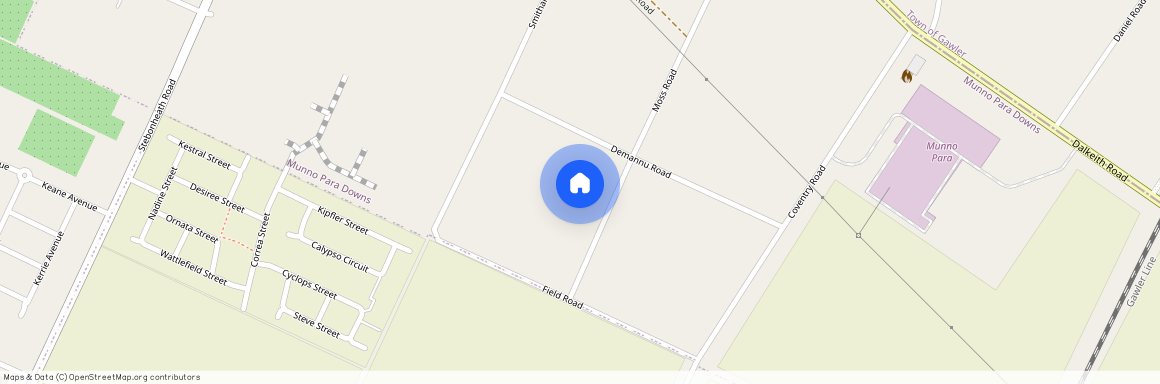 41 De Mannu Road, Munno Para Downs