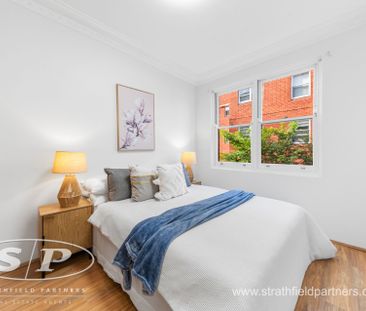 Recently Refreshed Full-Brick Apartment with Lock Up Garage - Photo 6