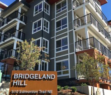 Condo Bridgeland Hill - Bachelor Suite — 1 Bedroom Condo Unit - Photo 1