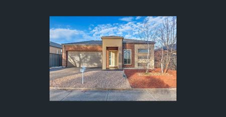 Spacious Family Home in the Heart of Derrimut - Photo 4