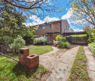 14 Dooring Street, Braddon ACT 2612 - House For Rent | Domain - Photo 5