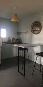 Location Appartement 1 pièce 20m² - Photo 3