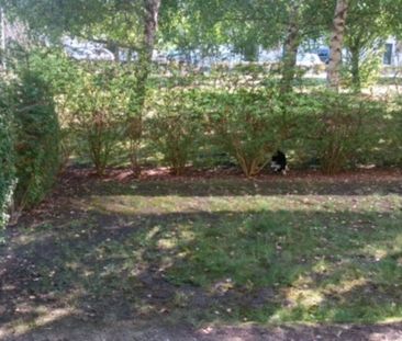 Location Appartement 2 pièces 39m² TOURS 37200 - Photo 6