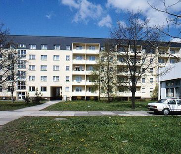 Mühlsdorfer Weg 1, 01257 Dresden OT Leuben mit Dobritz-Süd - Photo 3