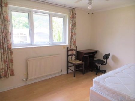 Broadfields, Brighton - Photo 3