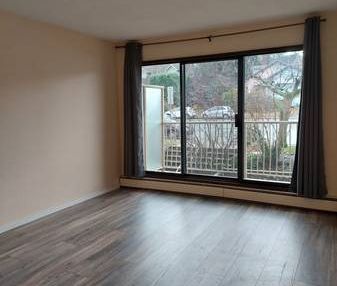 Newcastle Area – 1bdm, main floor 642 sq.ft., faces April 1st - Photo 1