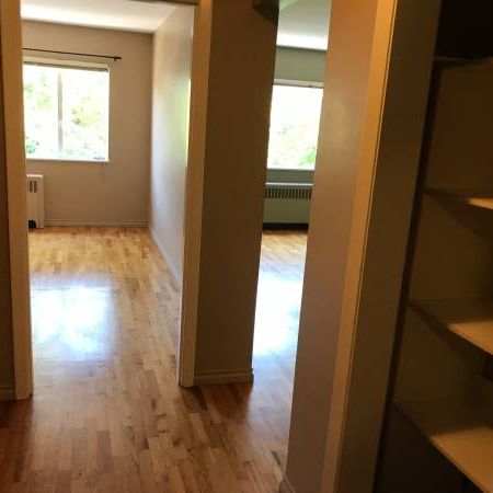 1 Bedroom Apartment on Fort Street $1500.00 - Photo 4