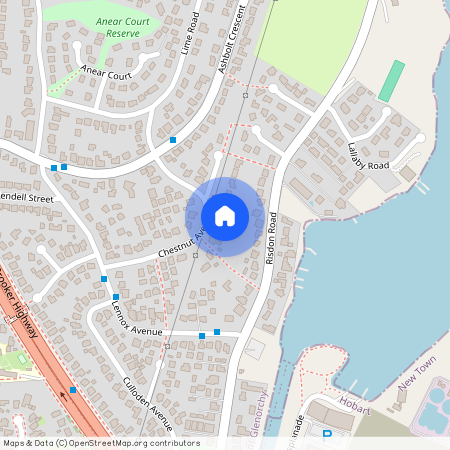 19 Chestnut Ave Lutana TAS