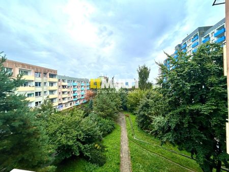 Niski budynek * winda * umeblowane * balkon - Zdjęcie 5