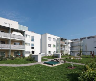 4311 Schwertberg, Parkstraße 17C/6 - Foto 1