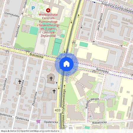 ul. Stanisława Przybyszewskiego, Grunwald, Grunwald, Poznań, wielkopolskie