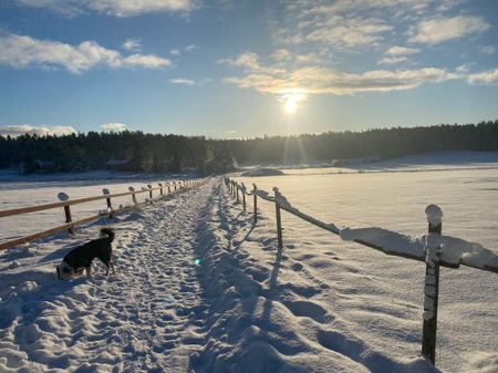 Bondvägen, Vendelsö - Photo 4