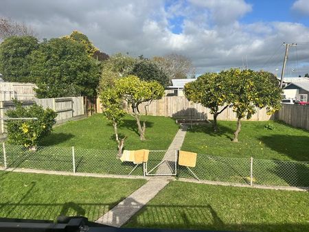 Fabulous Home! Walk to Waikato DHB! - Photo 5