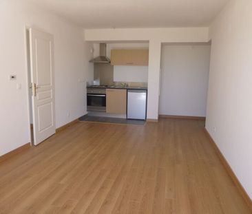 Location Appartement 2 pièces 41m² OLIVET 45160 - Photo 2